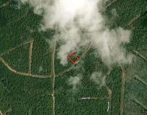 1st image of 313 Ash Flat Drive