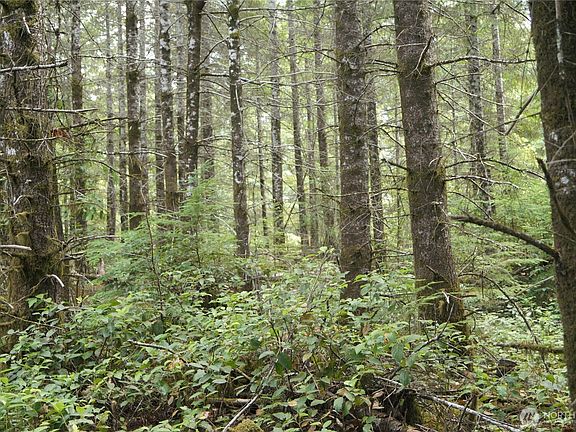 3rd image of 0 NKA Brooklyn Road