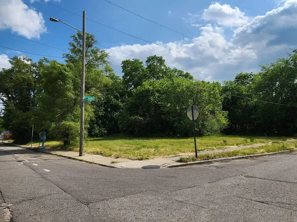 4257 Mount Elliott St, Detroit, MI 48207