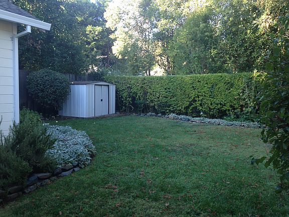 backyard view 2