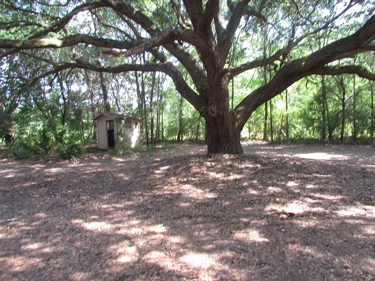 5855 Cane Savannah Rd — Photo 3