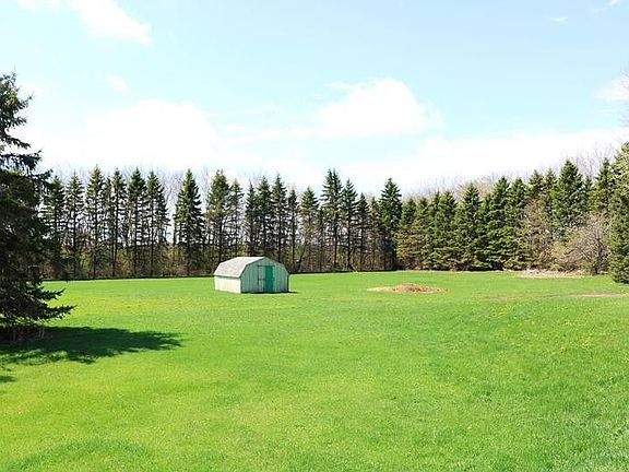 Open Area with Garden Shed