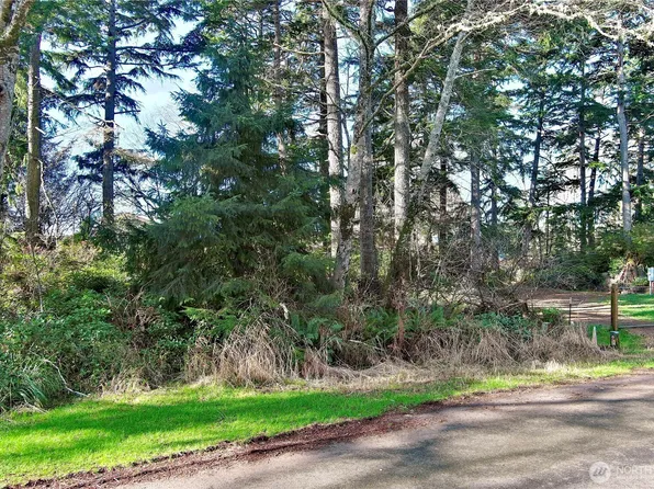 721 Chenois Avenue NE, Ocean Shores, WA 98569