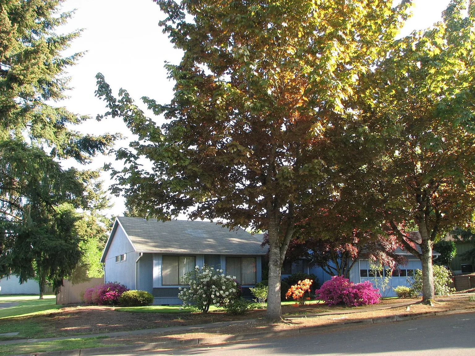 11600 SW Welch Ter photo 1
