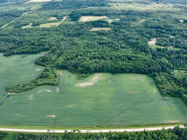 _ County Rd #19, Roseau, MN 56751