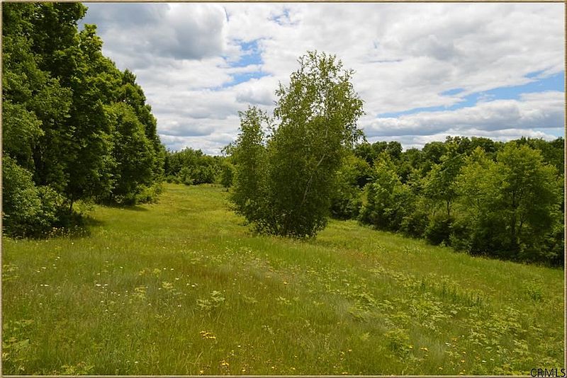 5th image of 0 OAK HILL Road #Sheldon Road