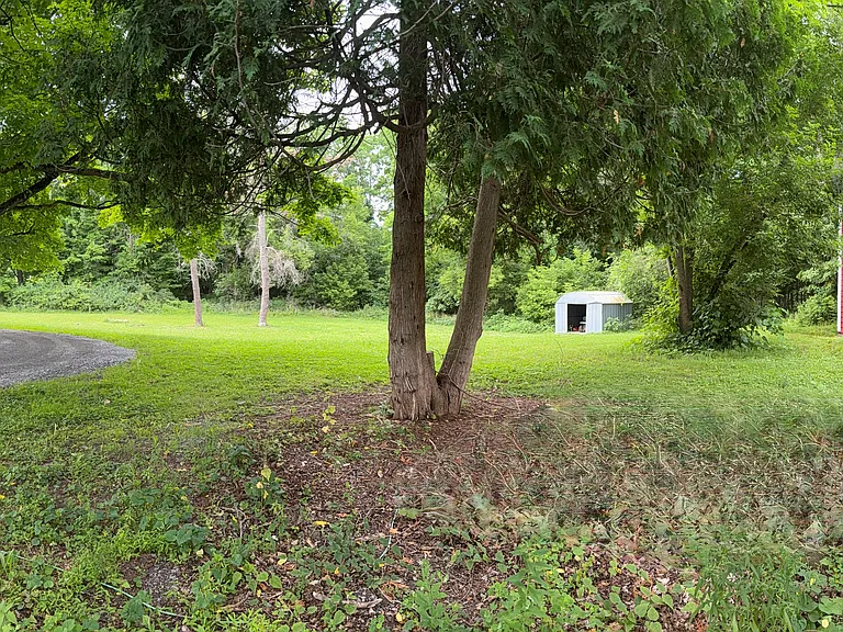 2145 New Scotland Rd — Photo 17