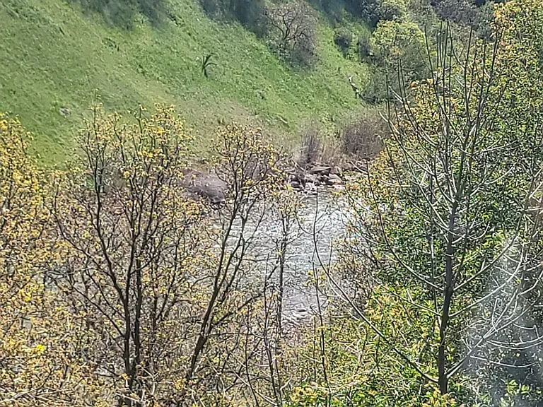 View from bedroom window