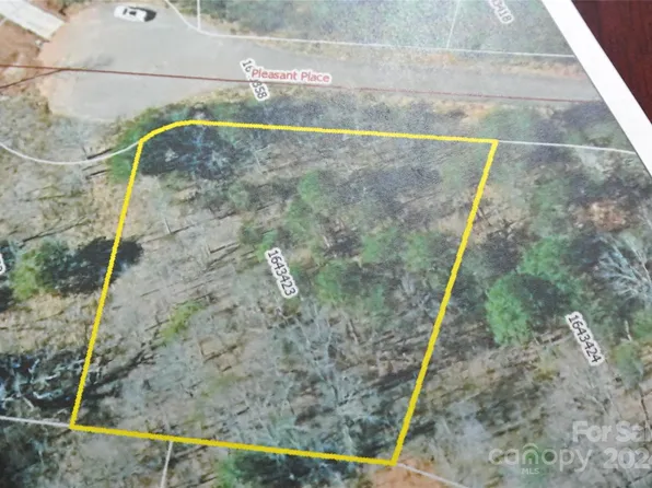 125 Pleasant Pl, Rutherfordton, NC 28139