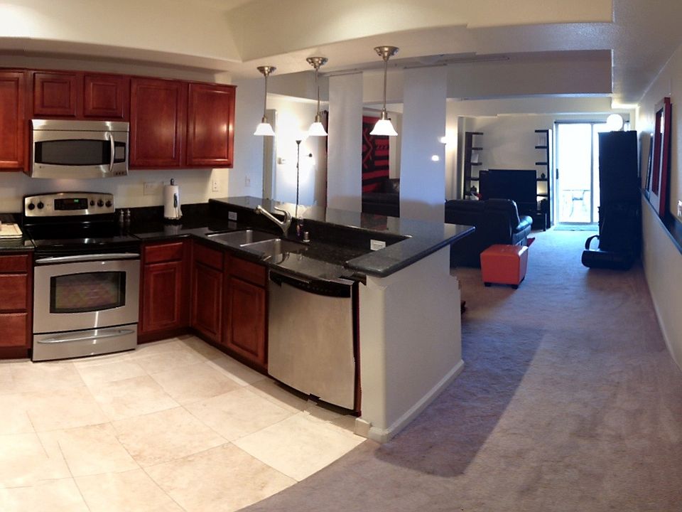 Many more photos on website!