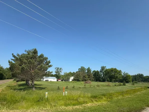 14382 S Chapin Rd, Elsie, MI 48831