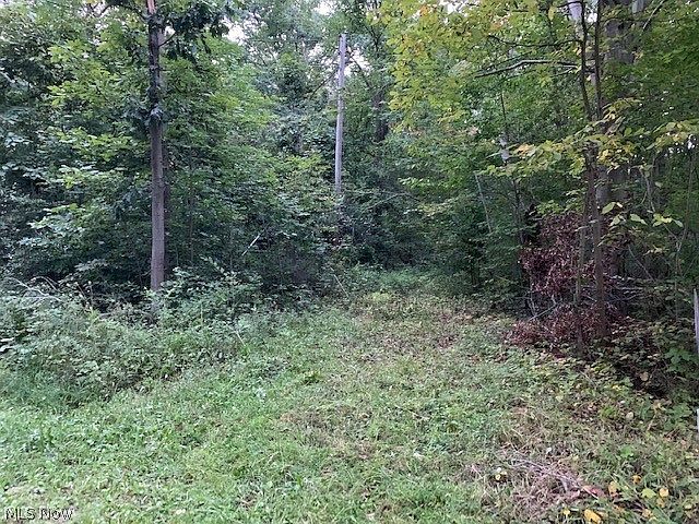 1st image of Boughner Rd