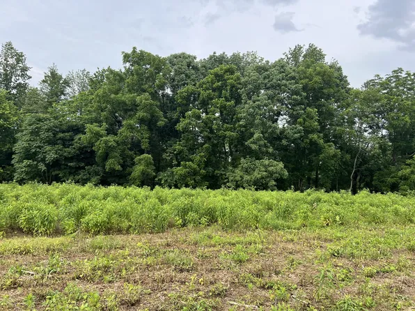 6 Annie Hollow Rd, Westmoreland, TN 37186