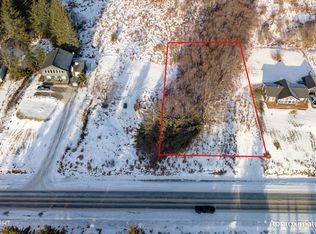 1080 Eric Ln, Homer, AK 99603