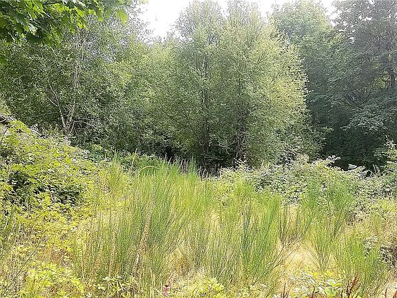 2nd image of 5718 McLane Creek Ct SW