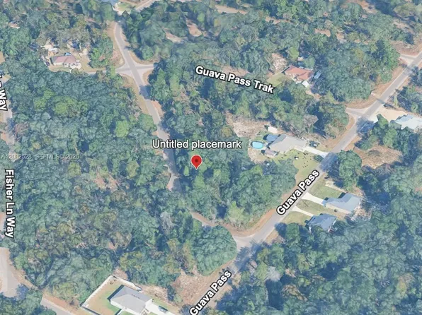 0 Fisher Lane Trak, Ocklawaha, FL 32179