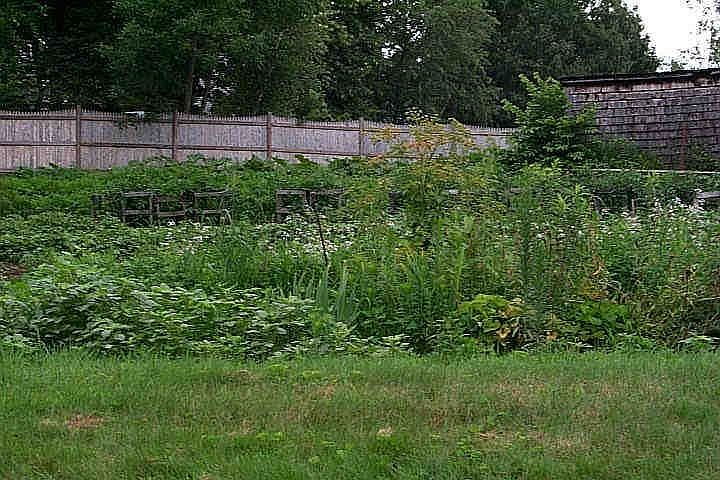 1st image of Westland Avenue