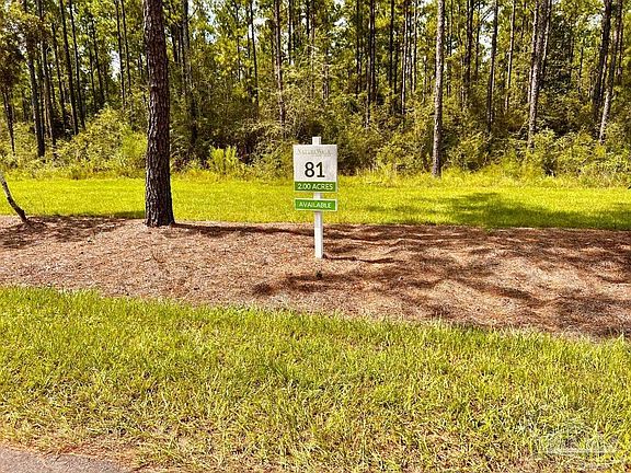 2nd image of 81 Naturewalk Dr