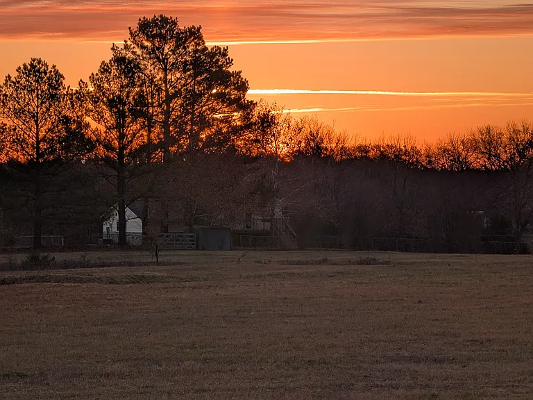 County Road 3570 — Photo 50