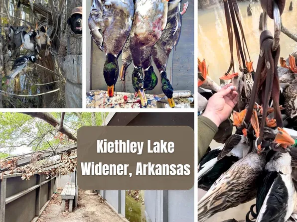 0 Sfc 431 Rd, Widener, AR 72394