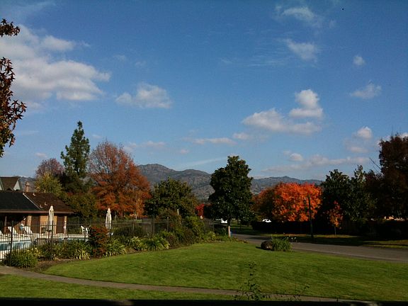 View From Patio