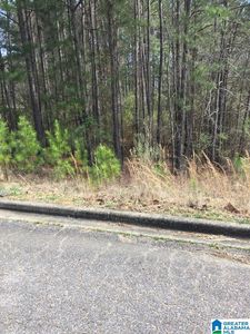 6605 Stone Point Dr #33, Bessemer, AL, 35022