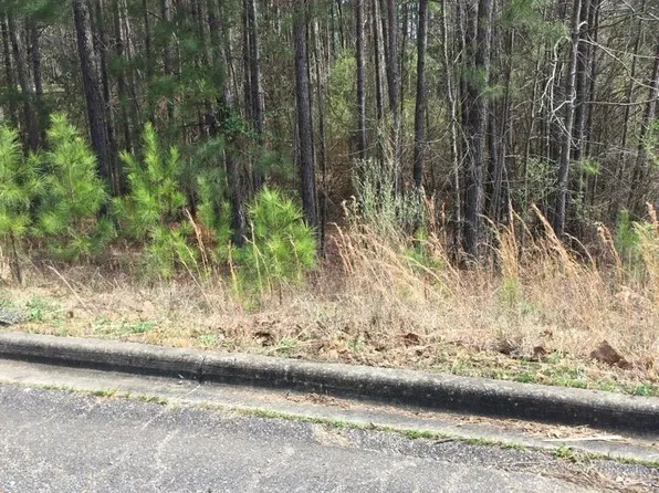 6445 Waters Edge Cir Lot 24, Bessemer, AL 35022