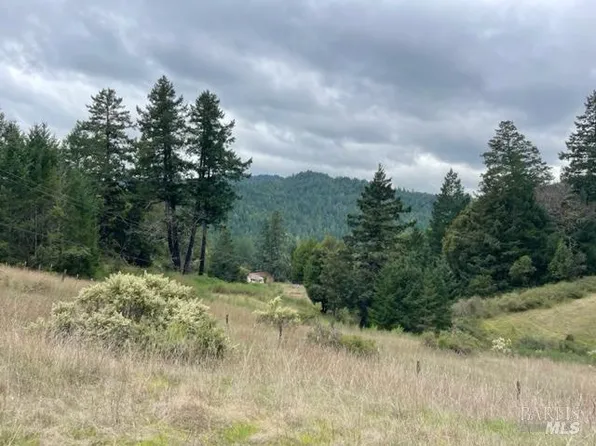 561 Bear Pen Road, Piercy, CA 95587