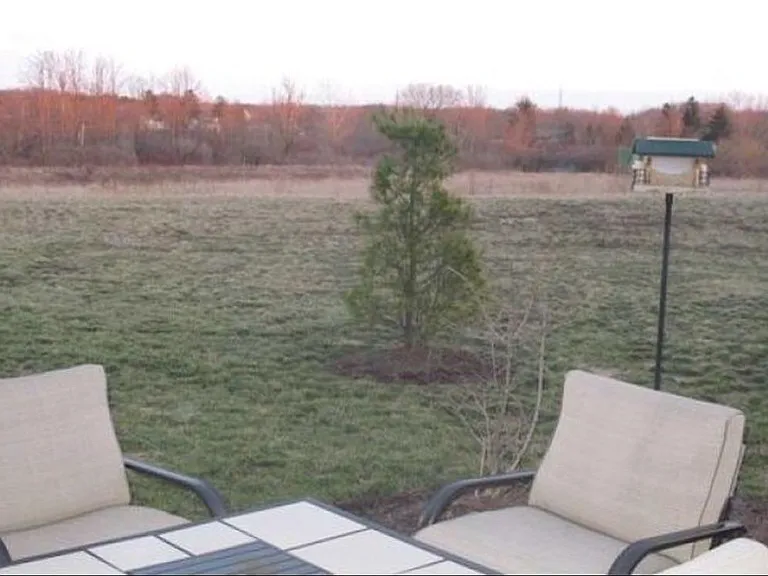 View from back door
