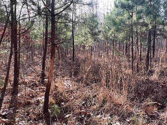 3rd image of 807 Golden Pond Ln