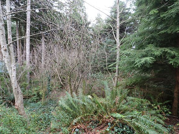 3rd image of 3700 Oregon Coast Hwy #42