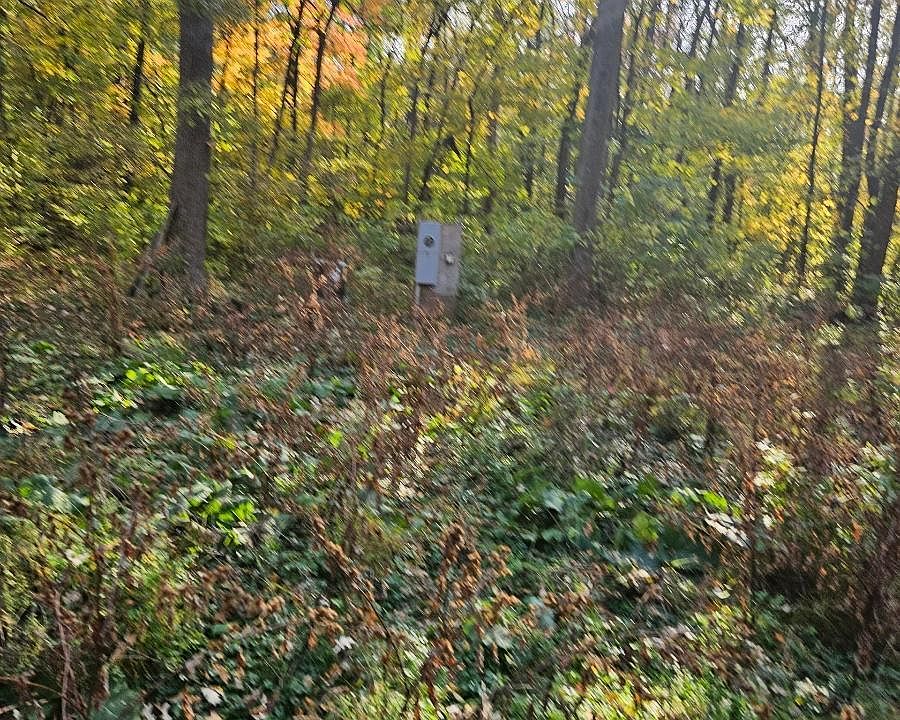 2nd image of 240th St