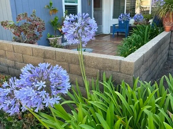 29562 Brook Ct, San Juan Capistrano, CA 92675