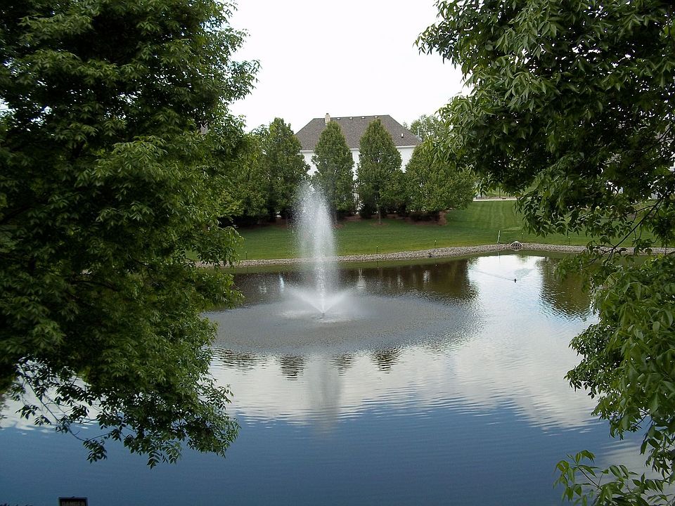Pond view from deck 