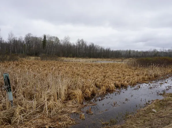 Floodwood Rd, Floodwood, MN 55736