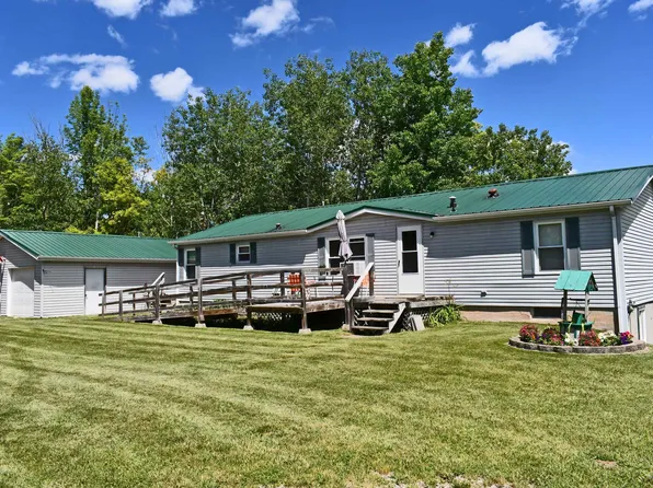 1130 Town Hall Rd, Hale, MI 48739