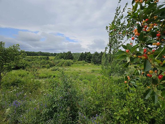 5th image of 1807 Highway 326