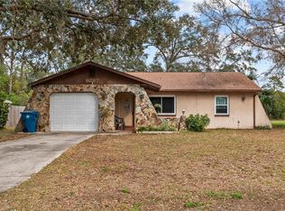 9287 Horizon Dr, Spring Hill, FL 34608