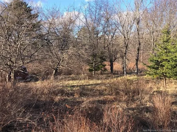 LOT Crocker Ln, Dufferin, NB E3L 3N3