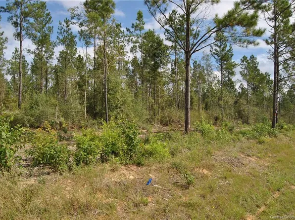 Camp Pearl Loop N, Reeves, LA 70658