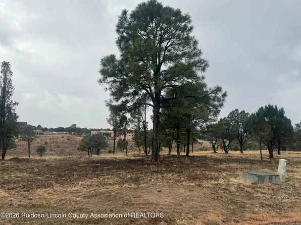 22B-1 Lincoln Hills Dr, Alto, NM 88312