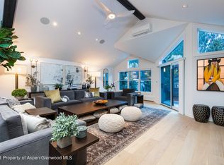 929 E Durant Ave #4, Aspen, CO 81611