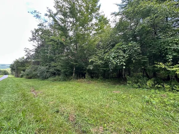 5416 Saunders Hill Rd, Belmont, NY 14813