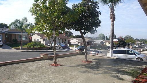 2nd image of 3636 Plumbago Ln