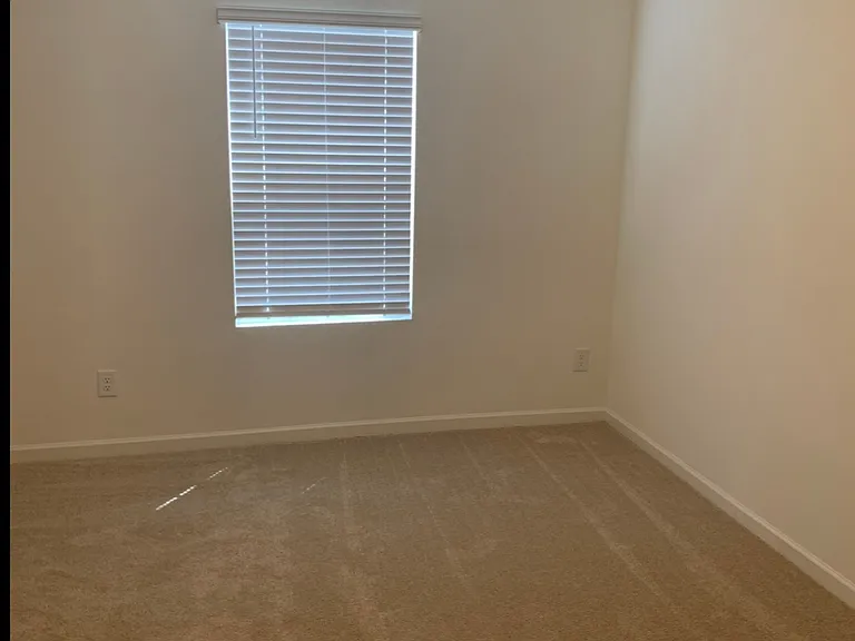 3512 Slippery Elm Dr — Photo 19