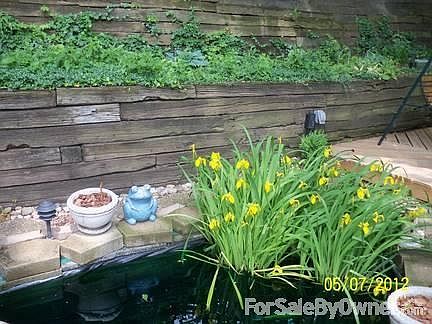 koi pond in back yard