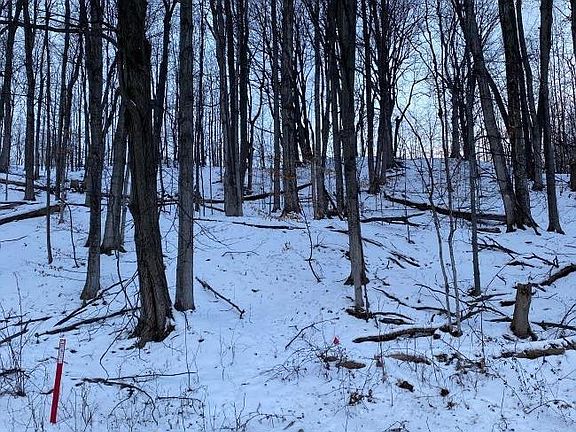 5th image of 716 NW Torch Lake Dr