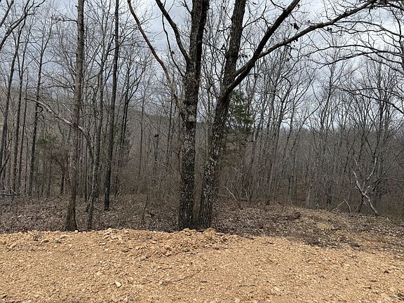 4th image of 0 Bear Creek Rd Lot 53