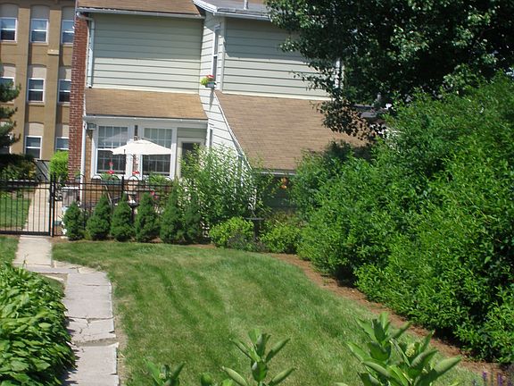 back of house/back yard