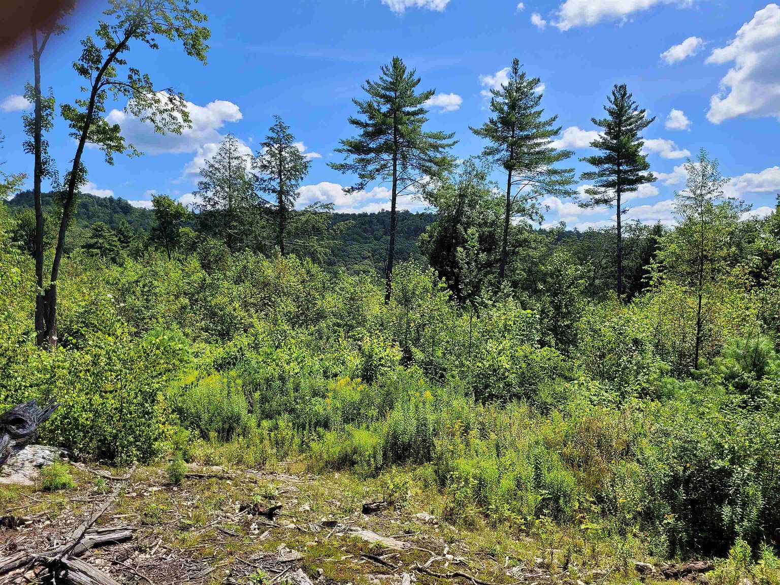 0 Campbell Road, Acworth, NH 03601 Zillow